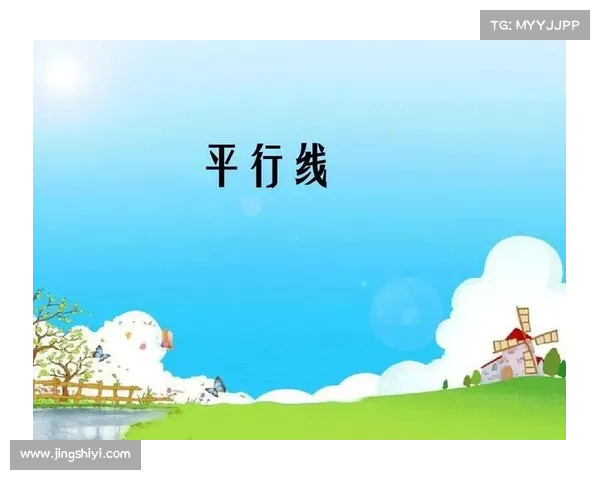 《绿茵场上的平行线:2004-2023》 《绿茵场上的平行线:2004-2023》